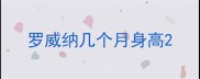 罗威纳几个月身高