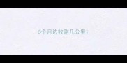 5个月边牧跑几公里