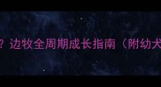 边牧几个月成年边牧全周期成长指南附幼犬期到成犬期全