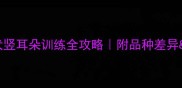3-6个月幼犬竖耳朵训练全攻略附品种差异常见误区