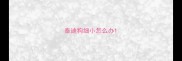 泰迪狗细小怎么办