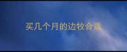 买几个月的边牧合适