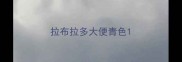 拉布拉多大便青色