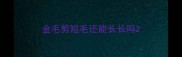 金毛剪短毛还能长长吗