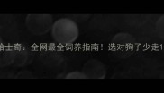 狼犬VS哈士奇全网最全饲养指南选对狗子少走10年弯路