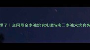 救命泰迪犬绝食3天我悟了全网最全泰迪挑食处理指南泰迪犬挑食狗狗绝食处理宠物营养师