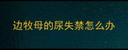 边牧母的尿失禁怎么办