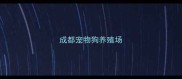 成都宠物狗养殖场