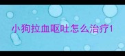 小狗拉血呕吐怎么治疗