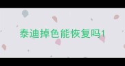 泰迪掉色能恢复吗