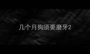 几个月狗须要磨牙