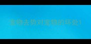 宠物去势对宠物的坏处