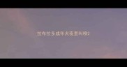 拉布拉多成年犬夜里叫唤