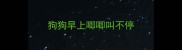 狗狗早上唧唧叫不停