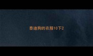 泰迪狗的衣服10下