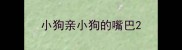小狗亲小狗的嘴巴