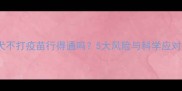 泰迪犬不打疫苗行得通吗5大风险与科学应对指南