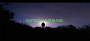 深圳宝安西乡猫咪领养
