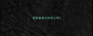 爱斯基摩犬和哈士奇