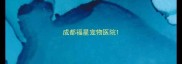 成都福星宠物医院