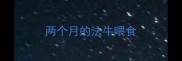 两个月的法牛喂食