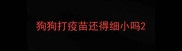 狗狗打疫苗还得细小吗