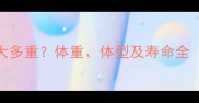 成年拉布拉多大多重体重体型及寿命全附饲养指南