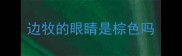 边牧的眼睛是棕色吗