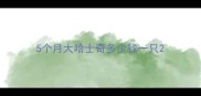 5个月大哈士奇多少钱一只