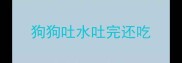 狗狗吐水吐完还吃