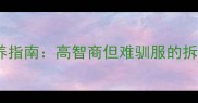 哈士奇饲养指南高智商但难驯服的拆家王性格