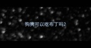 狗狗可以吃布丁吗