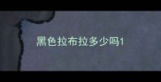 黑色拉布拉多少吗