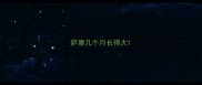 萨摩几个月长得大