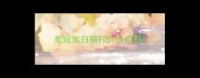 美短加白猫打什么疫苗