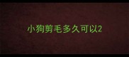 小狗剪毛多久可以