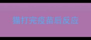 猫打完疫苗后反应
