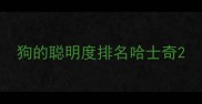 狗的聪明度排名哈士奇
