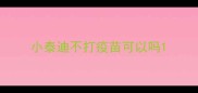 小泰迪不打疫苗可以吗