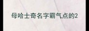母哈士奇名字霸气点的
