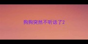狗狗突然不听话了