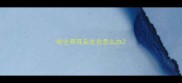 哈士奇耳朵发炎怎么办