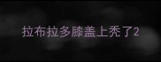 拉布拉多膝盖上秃了