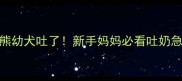 2个月比熊幼犬吐了新手妈妈必看吐奶急救指南