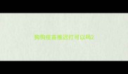 狗狗疫苗推迟打可以吗
