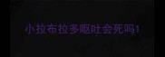 小拉布拉多呕吐会死吗