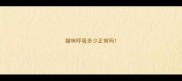 猫咪呼吸多少正常吗