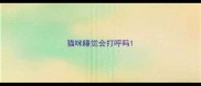 猫咪睡觉会打呼吗