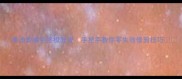 泰迪剪嘴毛终极教程手把手教你零失败修剪技巧
