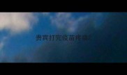 贵宾打完疫苗疼痛